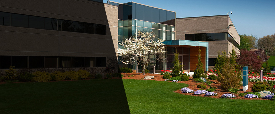 South San Francisco Landscapers