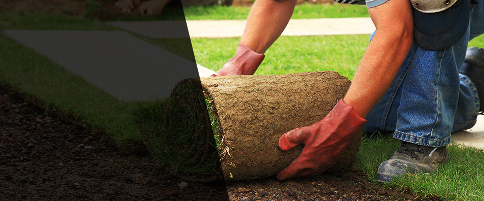 South San Francisco Landscapers